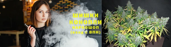 амф Новодвинск