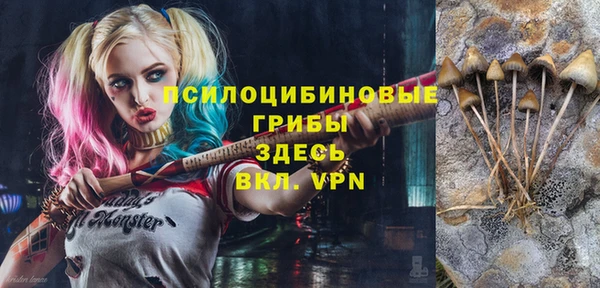 а пвп мука Новозыбков