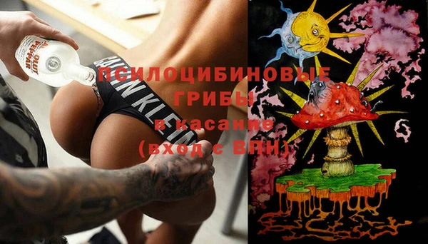амф Новодвинск