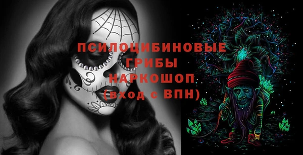 а пвп мука Новозыбков