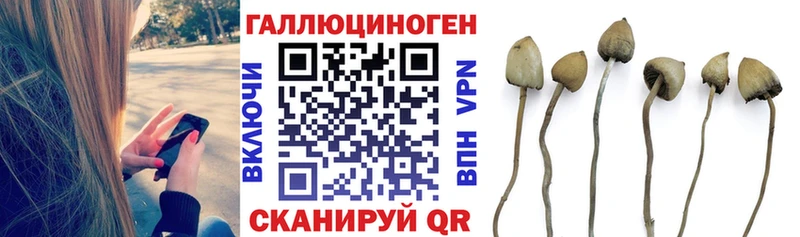 Псилоцибиновые грибы прущие грибы  hydra маркетплейс  Коркино  купить  
