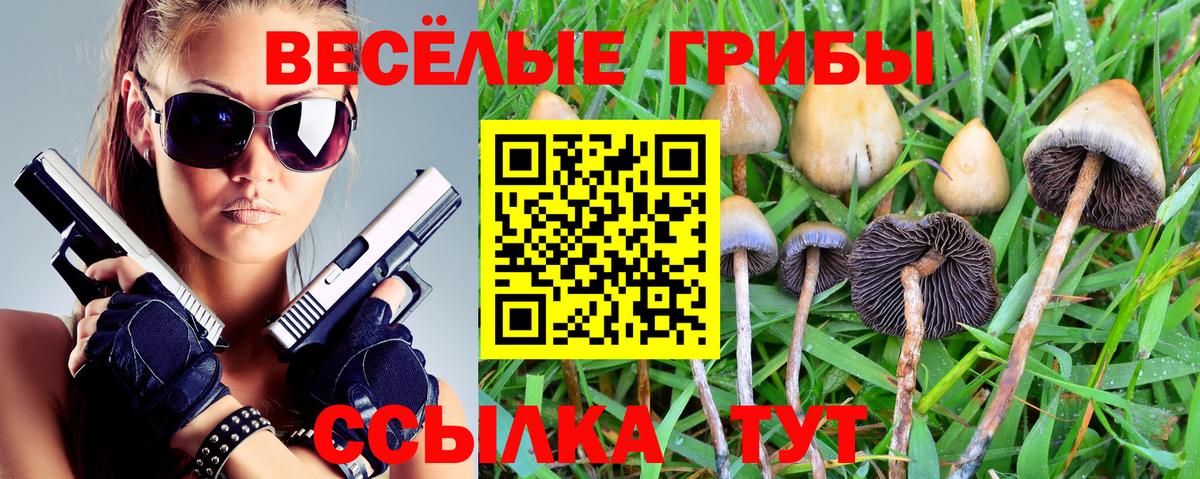 Галлюциногенные грибы Magic Shrooms Коркино
