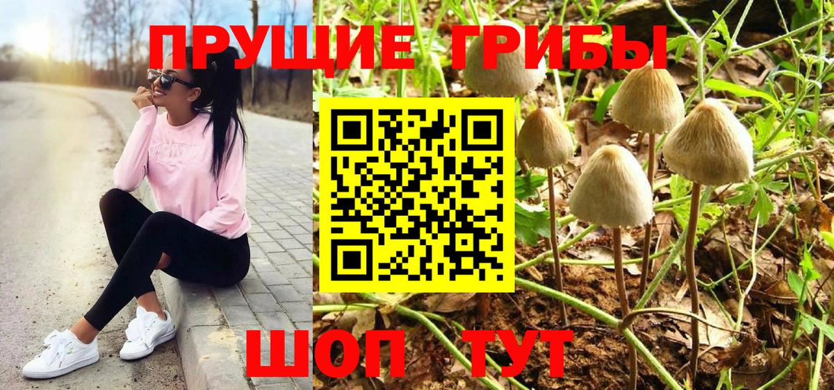 Галлюциногенные грибы Psilocybine cubensis  Псилоцибиновые грибы GOLDEN TEACHER  Вход с VPN  где купить   Коркино 